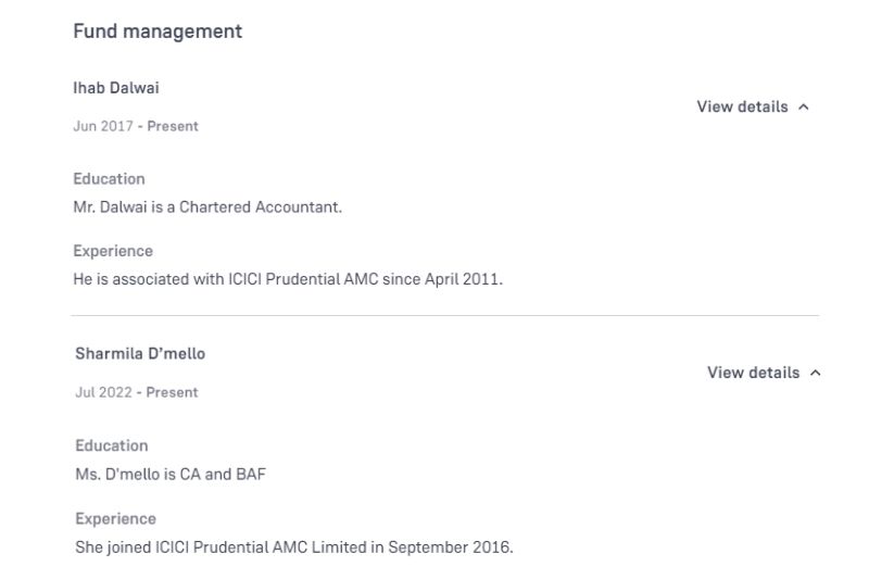 Fund Manager